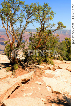 Hazy Sky Day At The Grand Canyon Arizona Hazy Sky Day At The Grand Canyon Arizona 134733755