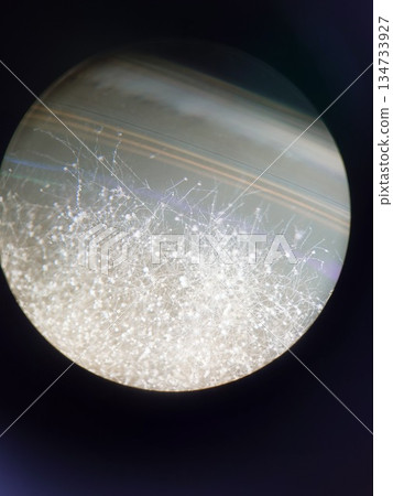 The mycelium of Aspergillus yellow mold growing The mycelium of Aspergillus yellow mold growing 134733927