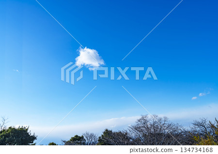 Winter sky, clouds and trees Winter sky, clouds and trees 134734168
