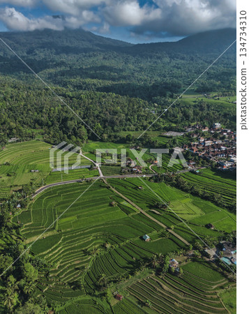Aerial Perspective Revealing Traditional Balinese Farm Terraces Aerial Perspective Revealing Traditional Balinese Farm Terraces 134734310
