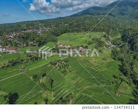 Aerial Perspective Revealing Traditional Balinese Farm Terraces Aerial Perspective Revealing Traditional Balinese Farm Terraces 134734311