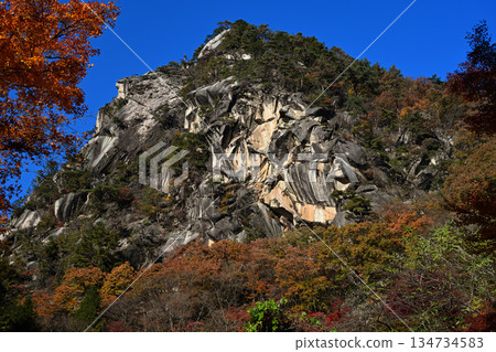松泉峽的落基山脈和秋葉 134734583