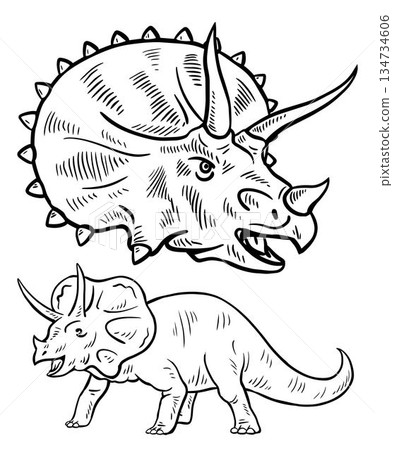 Triceratops dinosaur head isolated vintage illustration 134734606
