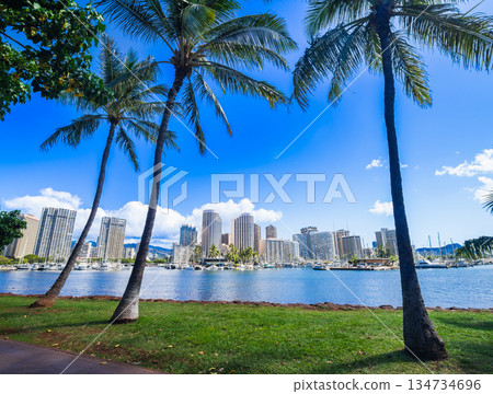 夏威夷風情：海洋、棕櫚樹和高樓飯店 134734696