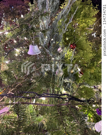 閃閃發光的聖誕樹 134734781