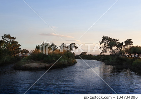 Seaside landscape in summer during a walk 134734890