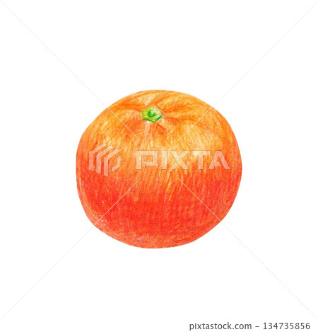 Hand drawn illustration with a tangerine for graphic design. Isolated colored pencil illustration on white background. New year collection. Hand drawn illustration with a tangerine for graphic design. Isolated colored pencil illustration on white background. New year collection. 134735856