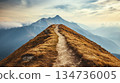 Narrow mountain ridge trail stretching towards distant peaks. 134736005