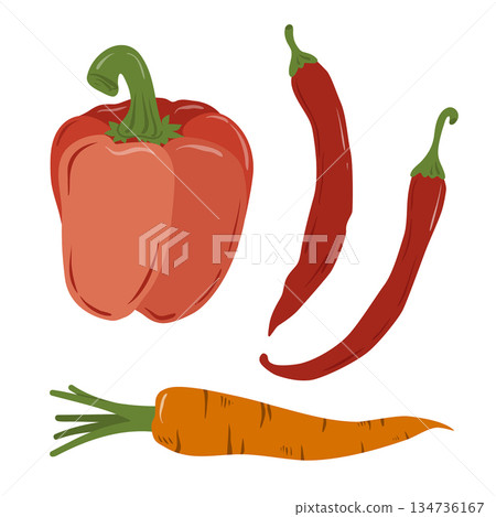 Illustration of peppers and carrots isolated on a background. Hand-drawn vegetables. Vegetarian diet food with vitamins for preparing delicious and healthy dishes. Illustration of peppers and carrots isolated on a background. Hand-drawn vegetables. Vegetarian diet food with vitamins for preparing delicious and healthy dishes. 134736167
