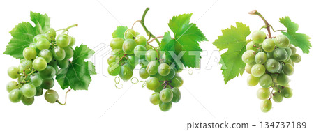 green grapes isolated on the white background 134737189