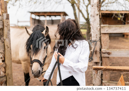 Beautiful girl in a light white shirt leads her friend's horse from the stables for a walk and training. Living in the village, concept. Rural life. 134737411