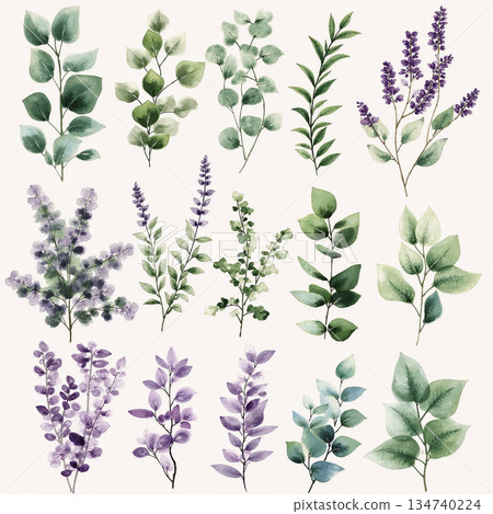 Unique Watercolor Artworks with Floral Elements Unique Watercolor Artworks with Floral Elements 134740224