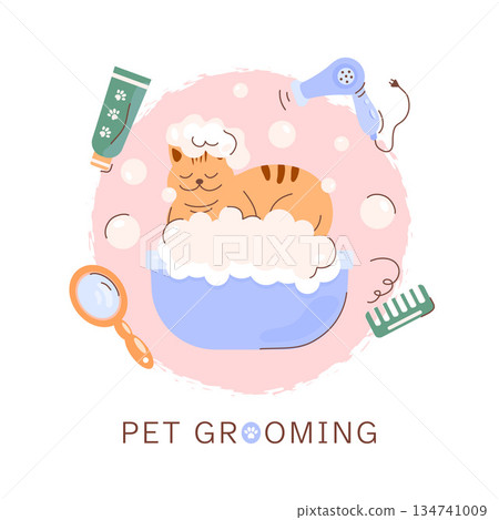 Pet care, cat beauty salon, pet service concept, square template. Animal spa treatments, grooming. 134741009