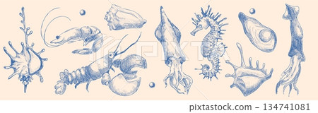 Seashell sketch collection with hand drawn seafood Seashell sketch collection with hand drawn seafood 134741081