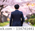 A young man walking down a street lined with cherry blossoms in the spring 134741441