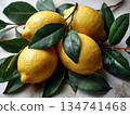 Fresh lemons on green leaves with natural lighting and simple background 134741468