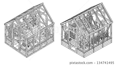 Two isometric greenhouses filled with foliage, linear design, growing vegetables and herbs 134741495