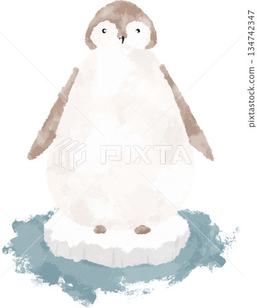 Penguin on a melting iceberg hand drawn illustration 134742347