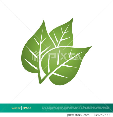 Green Leaf Icon Vector Logo Template Illustration Design. Vector EPS 10. 134742452