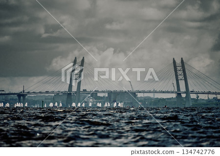 Students of the academy of sailing on shwertboats in cloudy weather, Russia, St. Petersburg Students of the academy of sailing on shwertboats in cloudy weather, Russia, St. Petersburg 134742776