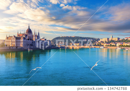 Seagulls are flying to the Parliament of Hungary over Danube under dramatic sunset sky, Budapest 134742788