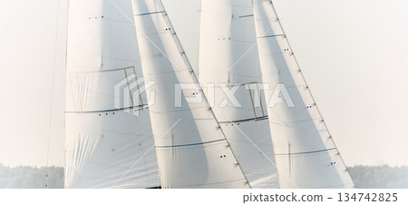 multiple sails at the sailing regatta in the Gulf of Finland, hot race of several yachts, nobody multiple sails at the sailing regatta in the Gulf of Finland, hot race of several yachts, nobody 134742825