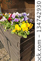 Colorful pansies in dark wooden planter on city street 134742930