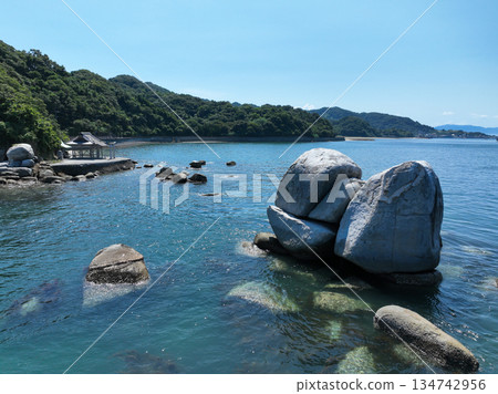 愛媛縣松山市的白石之花巨石 134742956