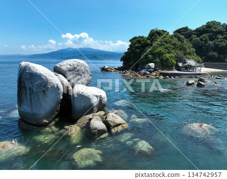 愛媛縣松山市的白石之花巨石 134742957