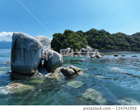 愛媛縣松山市的白石之花巨石 134742958