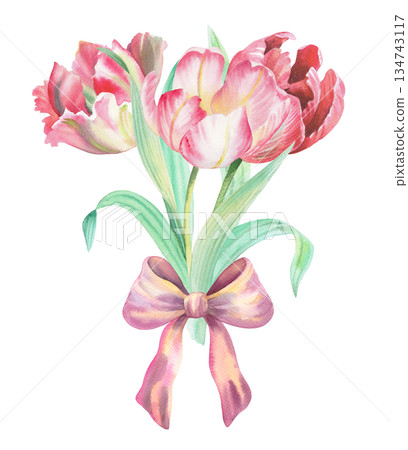 Bouquet of tulips with a bow. Watercolor illustration. For fabric, wallpaper, packing paper, greeting cards, design, decoration and illustration. Bouquet of tulips with a bow. Watercolor illustration. For fabric, wallpaper, packing paper, greeting cards, design, decoration and illustration. 134743117
