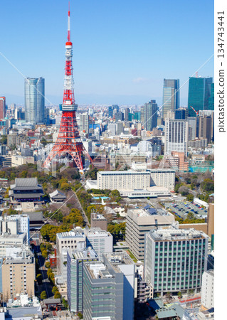 Tokyo Tower and Zojoji Temple_Vertical 134743441
