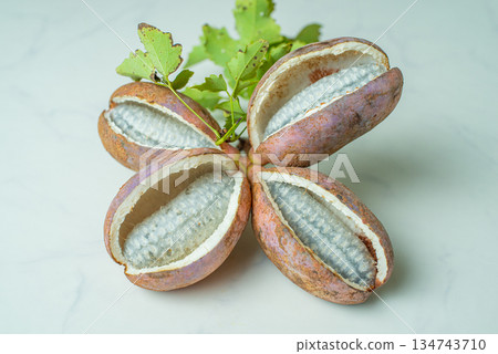 Four akebia berries placed on a white background 134743710