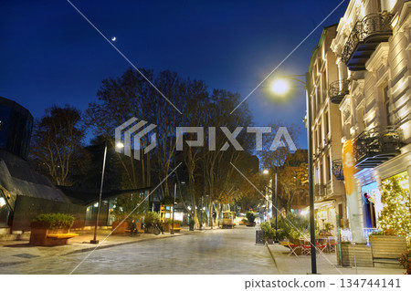 Park Leonidi in downtown of Tbilisi soon Christmas Park Leonidi in downtown of Tbilisi soon Christmas 134744141