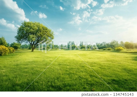 Green grass field lawn with tree and yellow sunlight against blue sky. Green Meadows Beautiful Journey Through Nature Great as a background, web banner 134745143