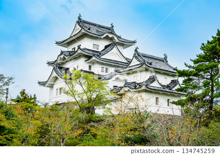 三重上野城塔 三重上野城塔 134745259