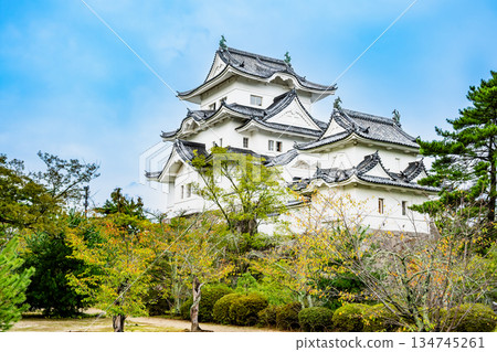 三重上野城塔 三重上野城塔 134745261