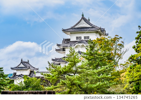 Mie Ueno Castle Tower Mie Ueno Castle Tower 134745265