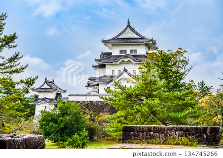 Mie Ueno Castle Tower Mie Ueno Castle Tower 134745266