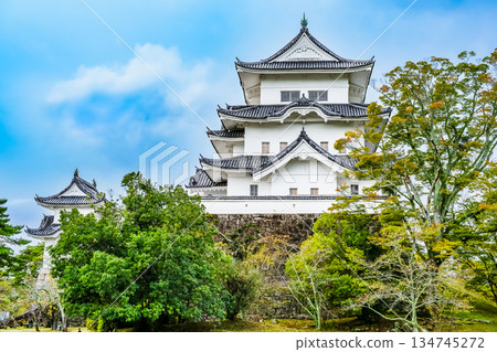三重上野城塔 三重上野城塔 134745272