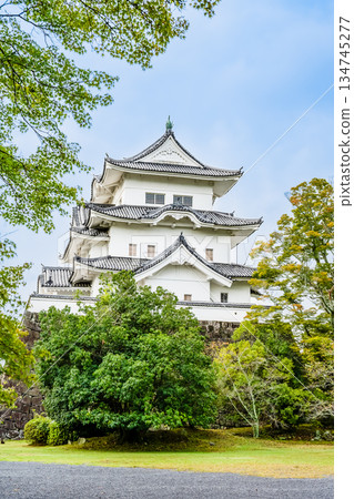 三重上野城塔 134745277