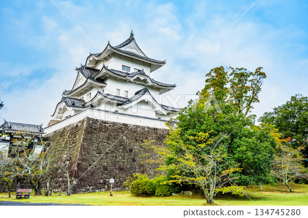三重上野城塔 三重上野城塔 134745280