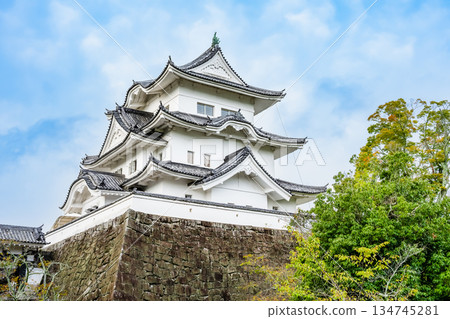 Mie Ueno Castle Tower 134745281