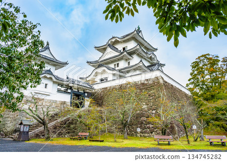 Mie Ueno Castle Tower 134745282