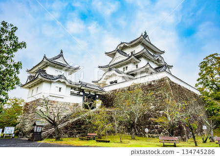 Mie Ueno Castle Tower Mie Ueno Castle Tower 134745286