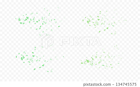 Green leaves pattern 134745575