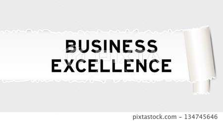 Ripped gray paper background that have word business excellence under torn part Ripped gray paper background that have word business excellence under torn part 134745646