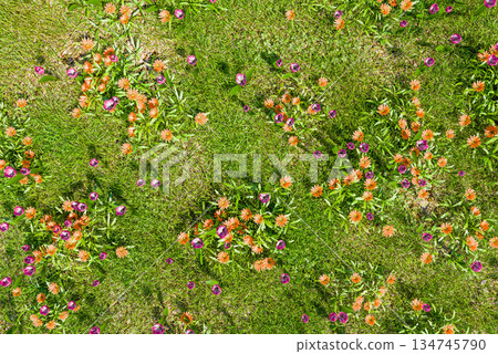 A refreshing image of spring 134745790