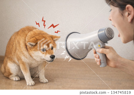 什麼對狗不好 134745819