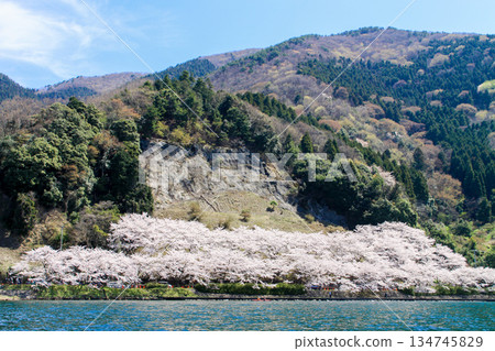 海祖大崎 海祖大崎 134745829